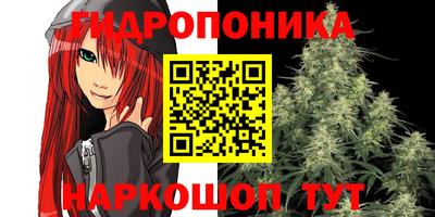 крисы Татарск
