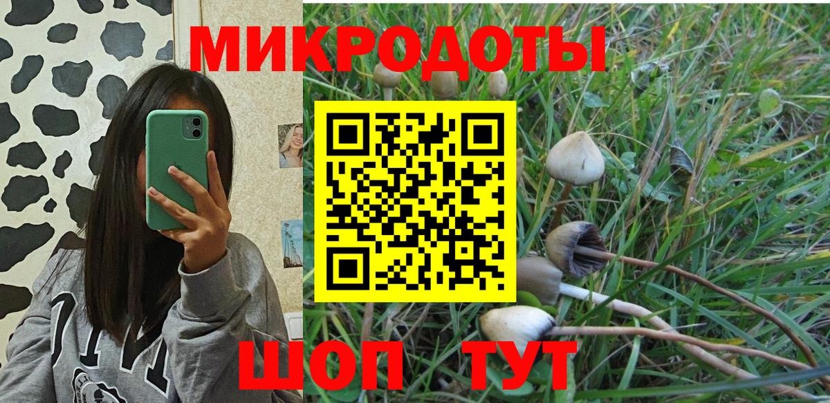 Псилоцибиновые грибы Cubensis  Вход с VPN  Зеленодольск 